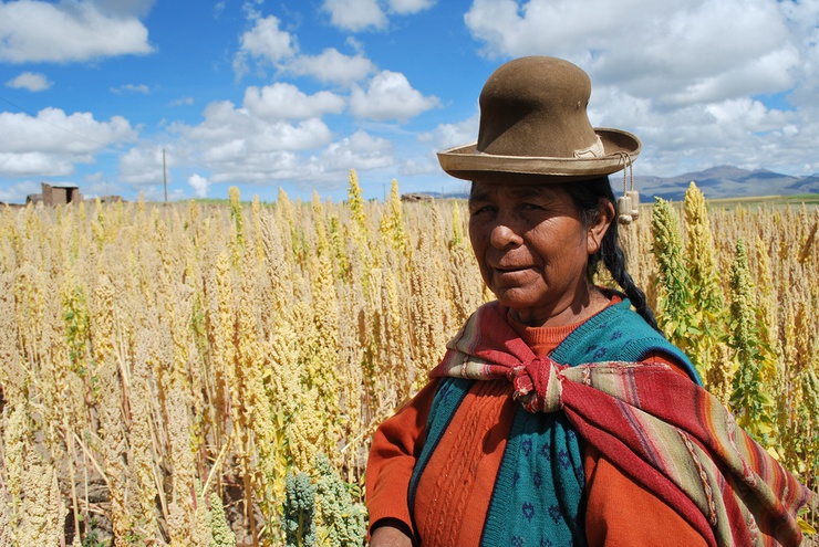 Reste à savoir si elle pourra tirer profit de l'explosion du prix du quinoa sur le marché international. 