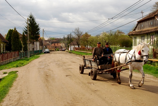 Photo, Florin Lipan