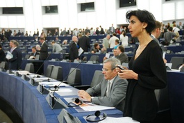 (European parliament)