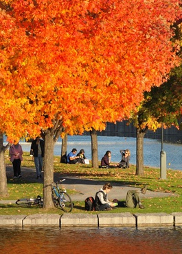 Montréal à l'automne