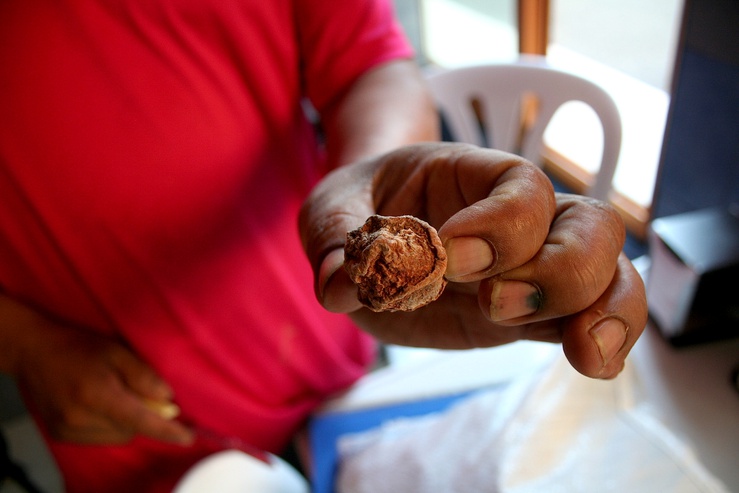 Questi frutti, coltivati in Bolivia a più di 3.000 metri d'altitudine, arrivano magicamente sulla sua tavola.