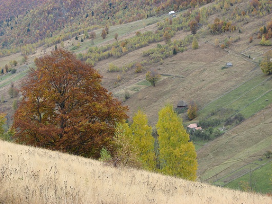 transylvania view