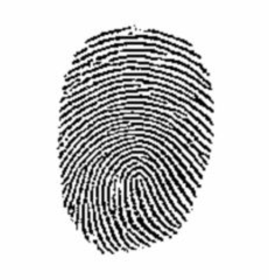 fingerprint.JPG