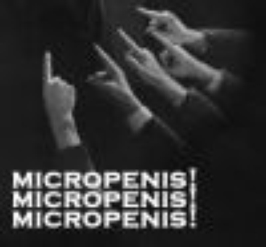 micropenis