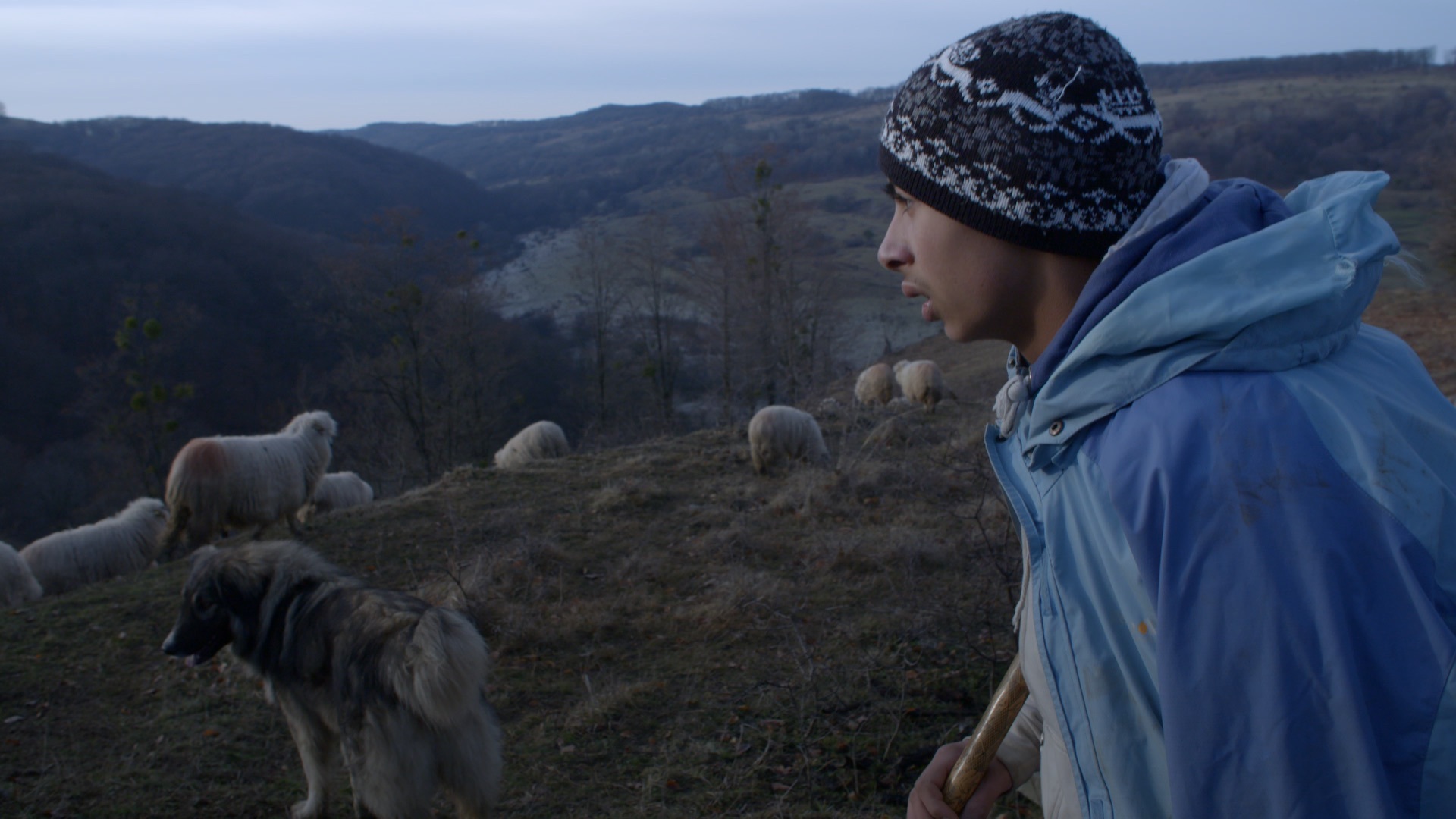 Andrei, documentaire Ceux qui restent