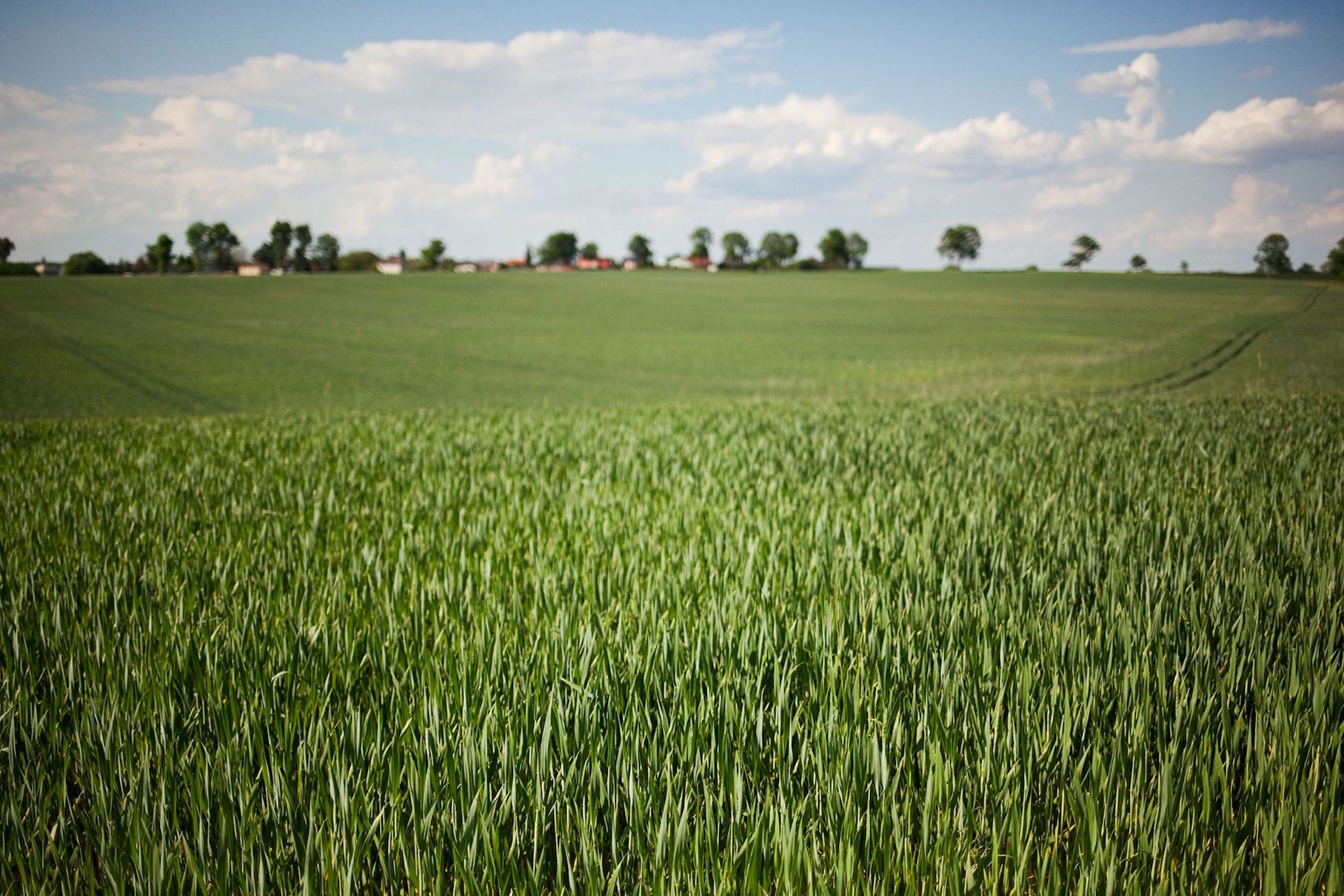 desierto verde en Alemania