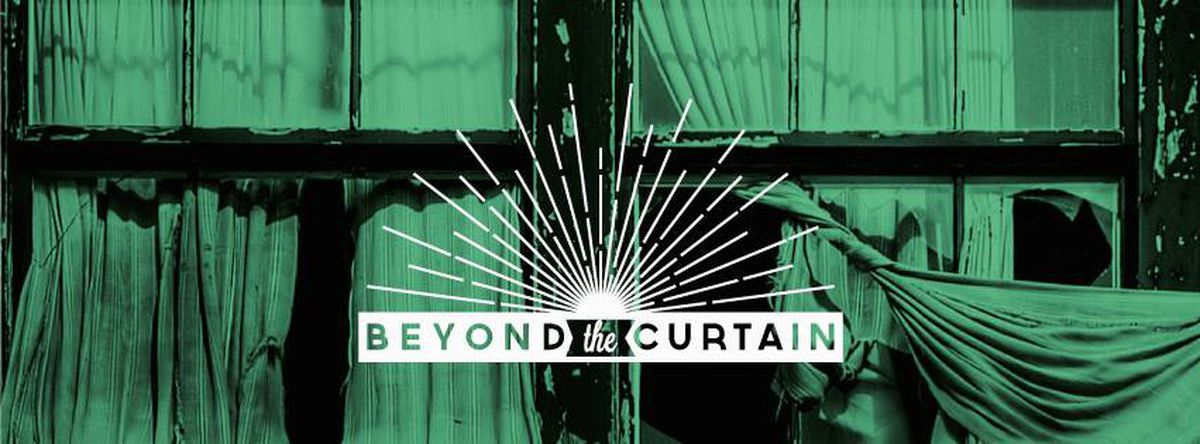 Image for Beyond the Curtain: 25 years of open borders