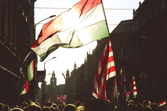 Image for Hungarians against Orbán demand for Democracy