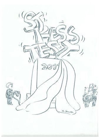 Image for Stresstest für das euopäische Wort des Jahres 2011