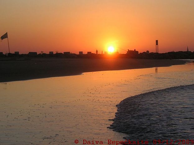 Image for Winter in Tel Aviv