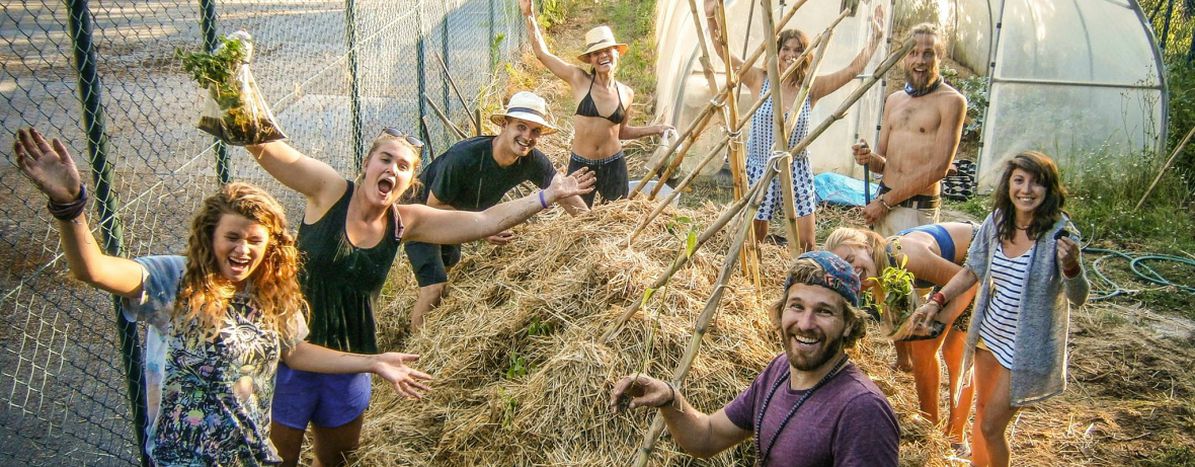 Image for WWOOF: Pielęgnując europejskie przyjaźnie