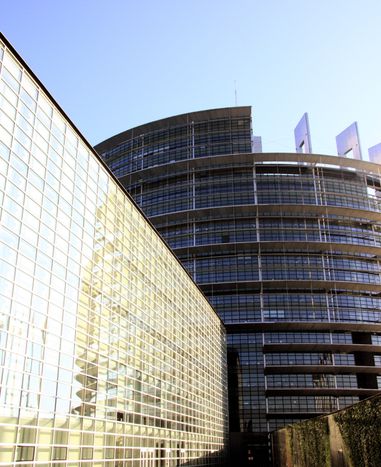 Image for European parliament roof in Strasbourg collapses
