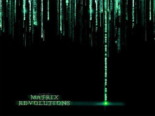 Image for The concept of Matrix into european politics