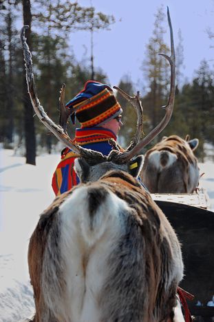 Image for Finland's Sami minority: new cultural centre but no land rights