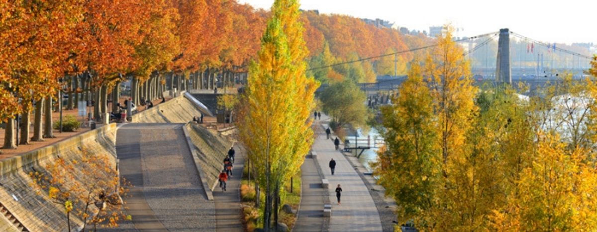 Image for ¿Hay una transición ecológica en marcha en Lyon?