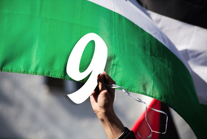 Image for Numeri che parlano da soli: Chi riconosce la Palestina?