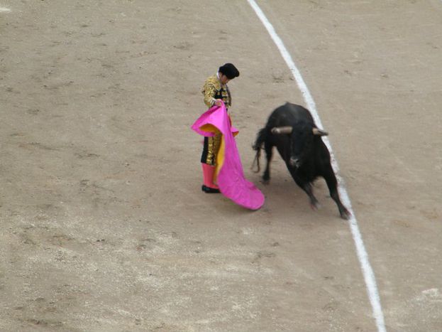 Image for Perché dobbiamo difendere la corrida de toros