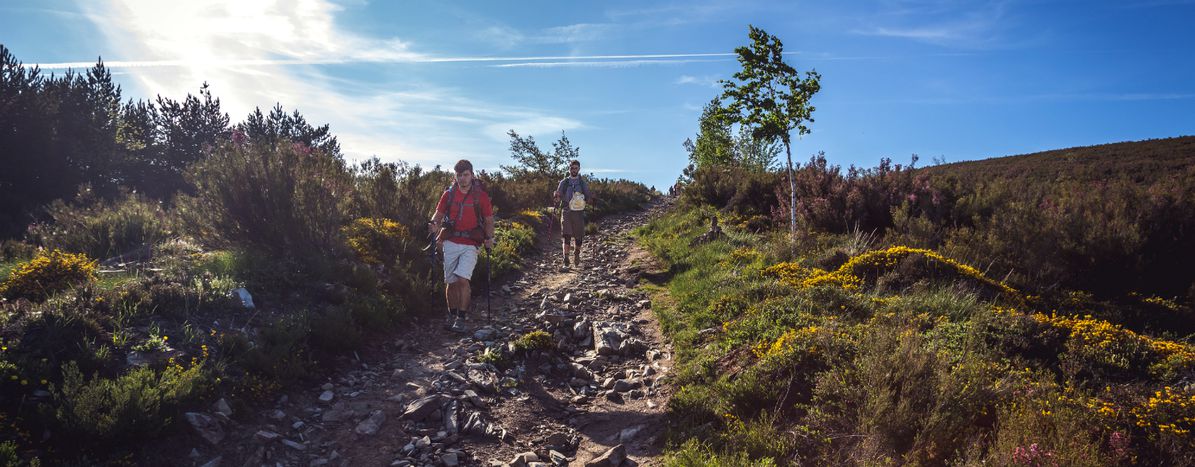 Image for De Camino a Santiago, sin olvidar las herramientas de trabajo