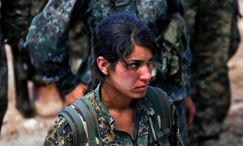Image for La causa curda: terrorismo o rivoluzione?