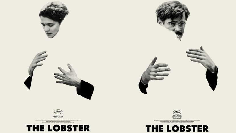 Fre The Lobster Ou Comment Raconter Une Histoire D Amour De Maniere Originale