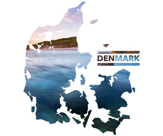 Image for Social innovation in Denmark