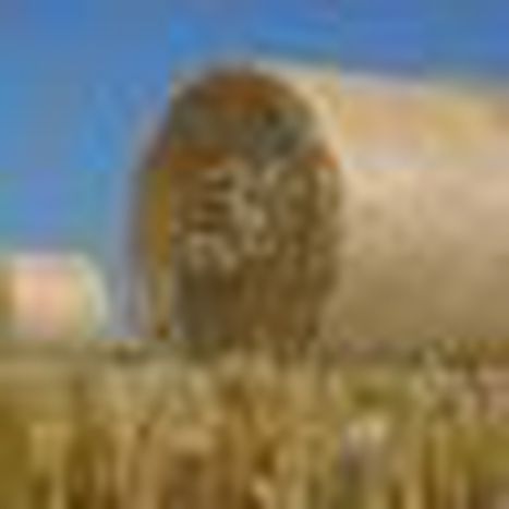 Image for L'agriculture, problématique franco-auvergnate ?