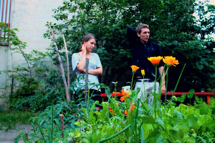 Image for Les jardins cachés de Bratislava