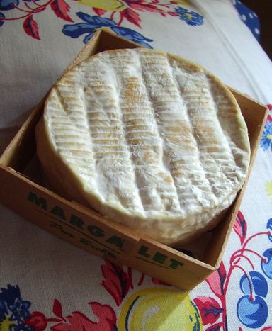 Image for Te la dieron con queso