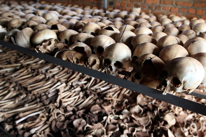 Image for Rwanda : le lent chemin vers la justice
