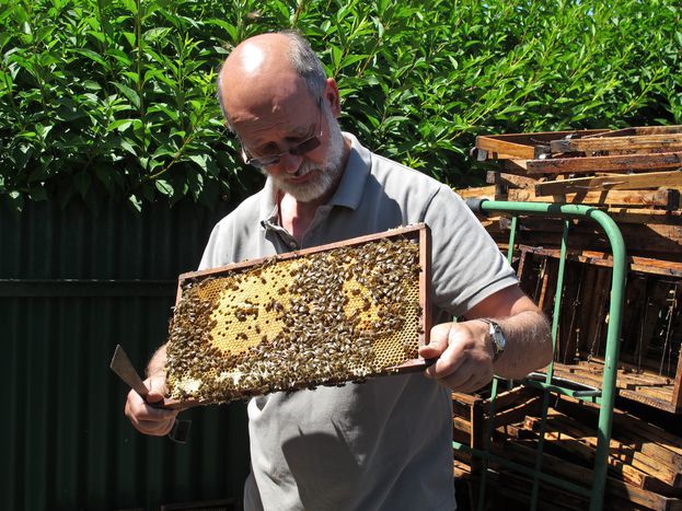 Image for Jean Claude Moes en Estrasburgo: el último apicultor