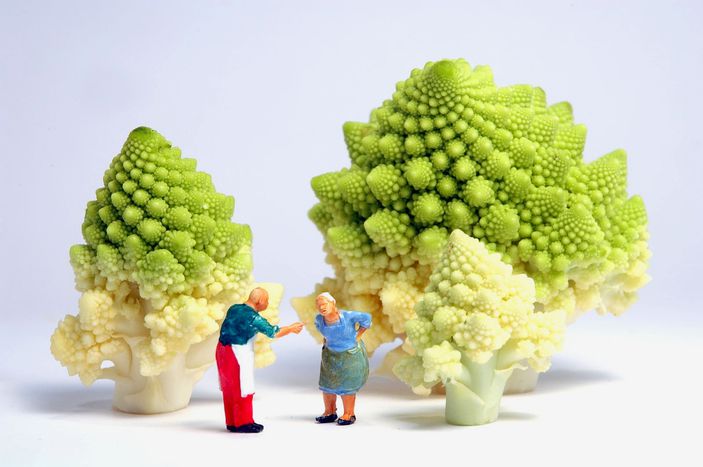 Image for Who gives a cabbage?