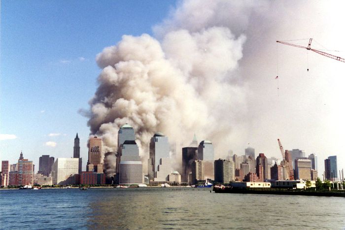 Image for Bin Ladin, NYC, Twins, WTC, Taliban