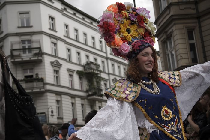 Image for Multicultural Populism in Lithuania