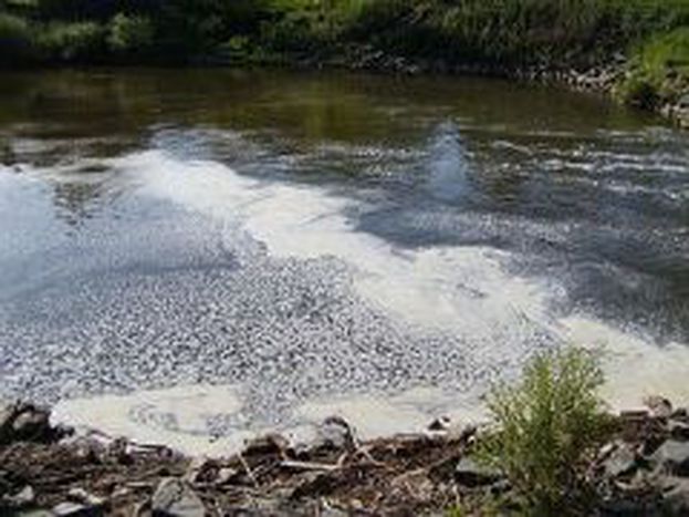 Image for First Hungarian-Austrian water quality test completed on Raba river