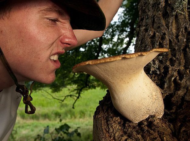 Image for Smelling Lithuania: perfume new 'national symbol'