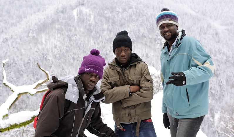 Image for Destinazione Germania: l'avventura di tre ragazzi del Gambia (II)