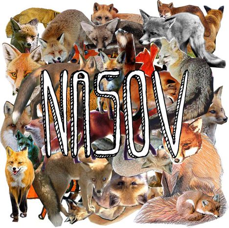 Image for Nasov, ovvero “il terrore per le volpi”: six-string &amp; Brit-humor nelle canzoni di Francesco Bordo