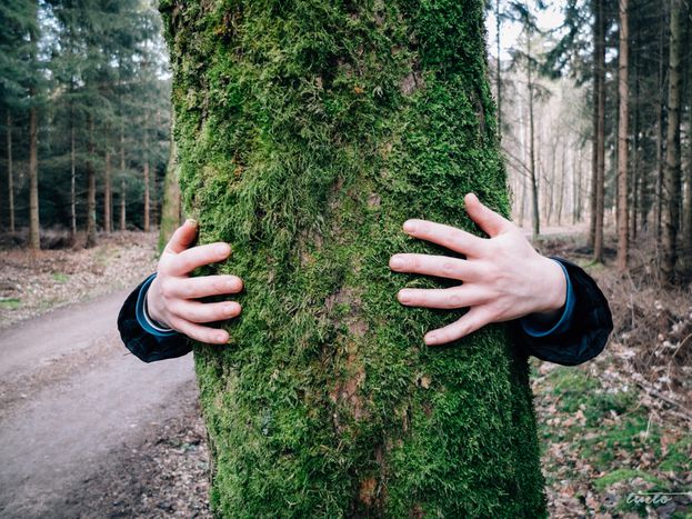 Image for Vive l'écologie! France's new green political movements