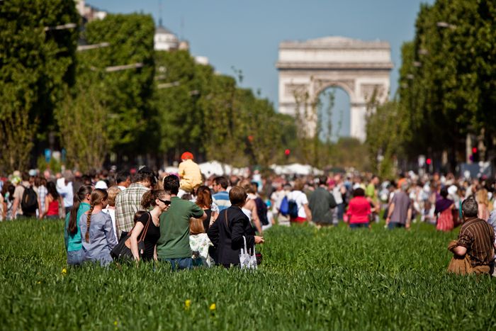 Image for Transition towns: in the gardens of Paris