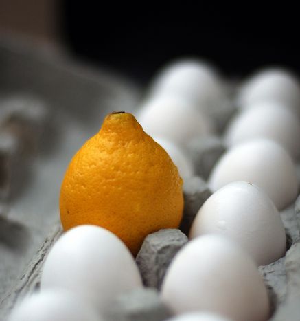 Image for Lemon half moon cake for Danish far right party