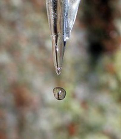 Image for Tout nouveau, tout beau, le monde de l’hydrogène
