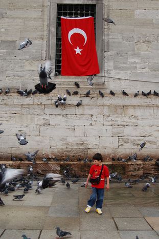 Image for Se acerca la presidencia sueca y Turquía no se aclara