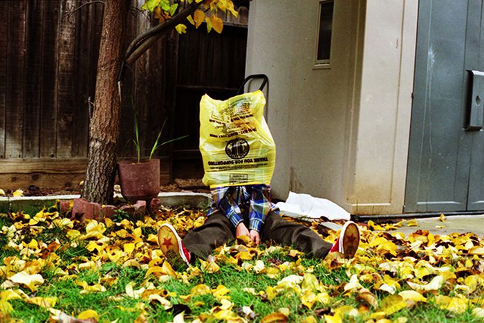 Image for Essere "verdi" a Bruxelles: la coscienza civica oltre i sacchetti di plastica