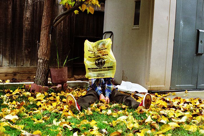 Image for Being green in Brussels: beyond plastic bags