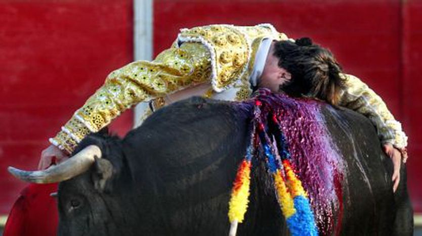 Image for “Vampire”:  A photographic view  on  bullfighting