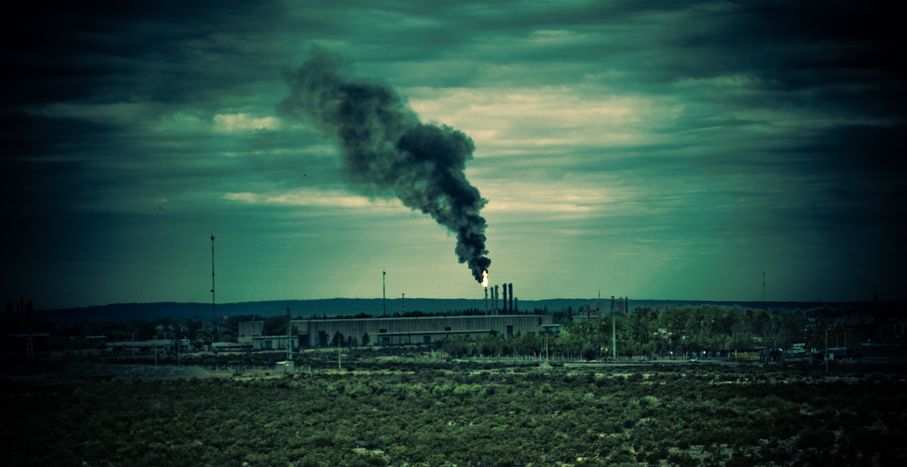 Image for Krakau gegen den Smog