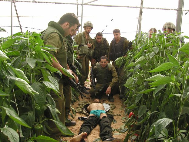 Image for Itamar Shapira: former Israeli soldier on killing in Palestine