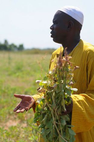 Image for Senegalscy rolnicy kontra Europa
