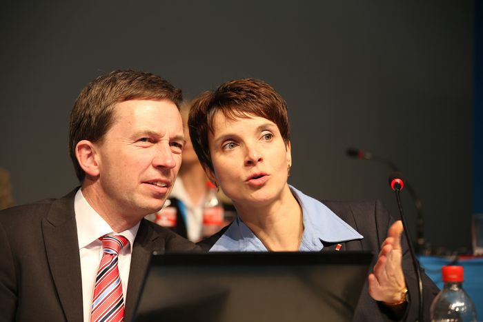 Image for L'AfD à Berlin : la jeunesse sur courant alternatif