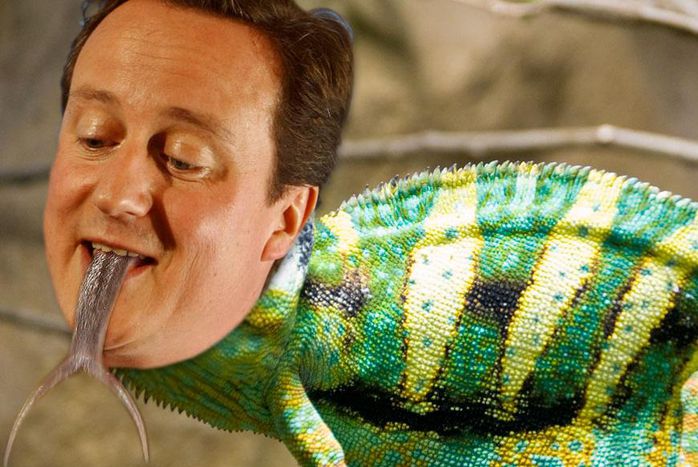 Image for David Cameron: Angst vor der Flut
